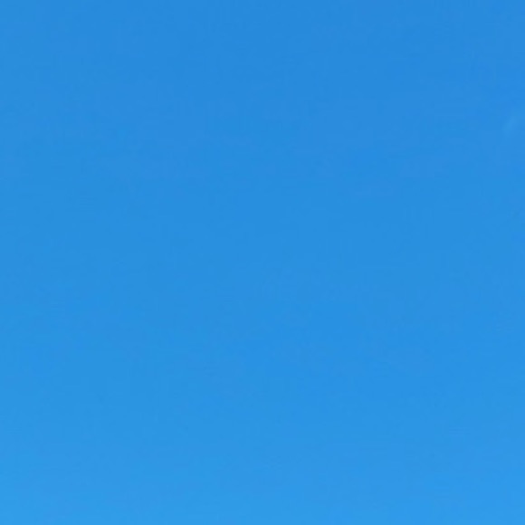 Meet your Posher, Toni - Picture 1 of 1